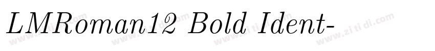 LMRoman12 Bold Ident字体转换